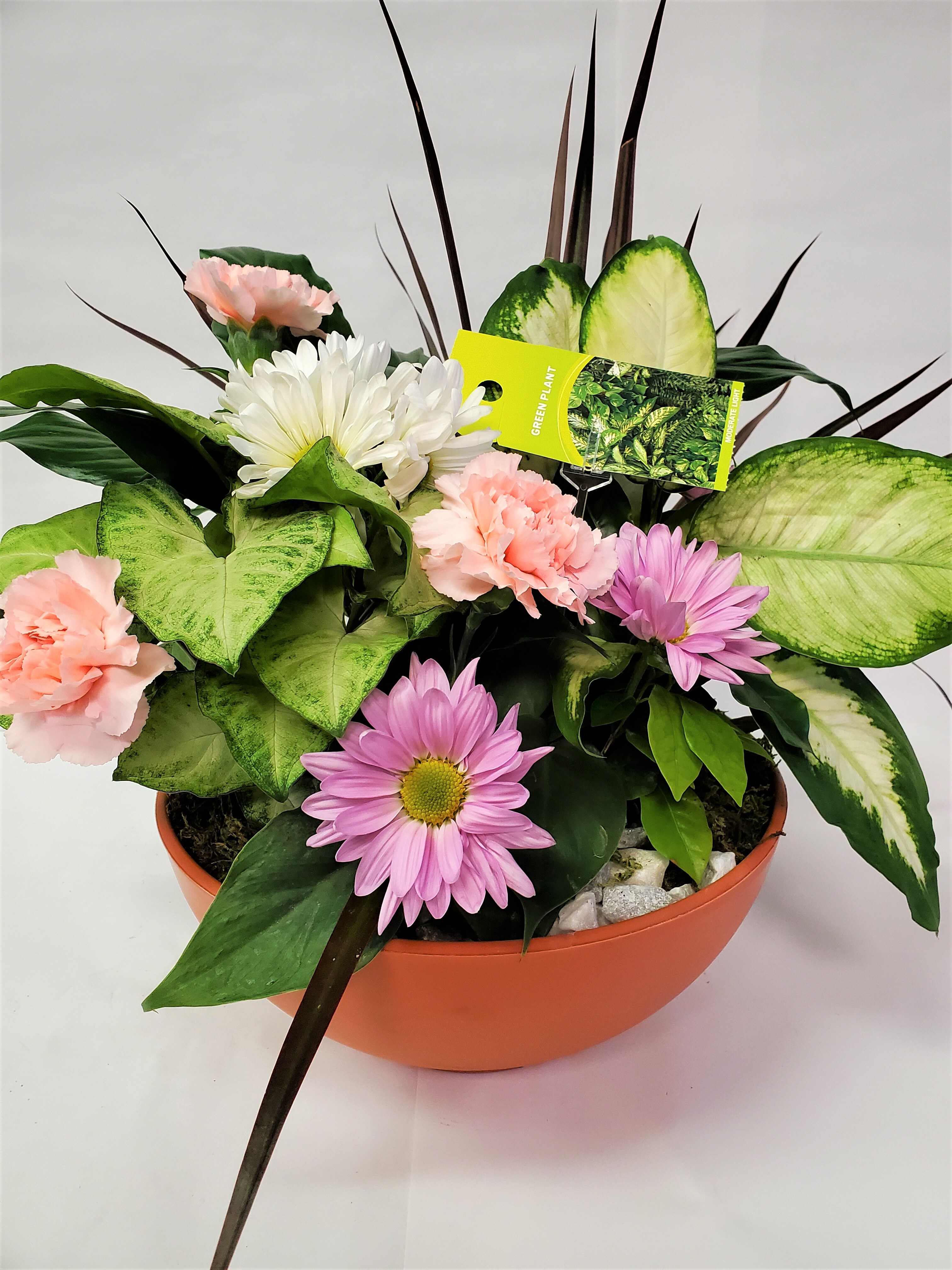 Add Fresh Cut Flowers to Garden Dish